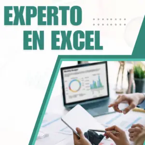 Experto en excel