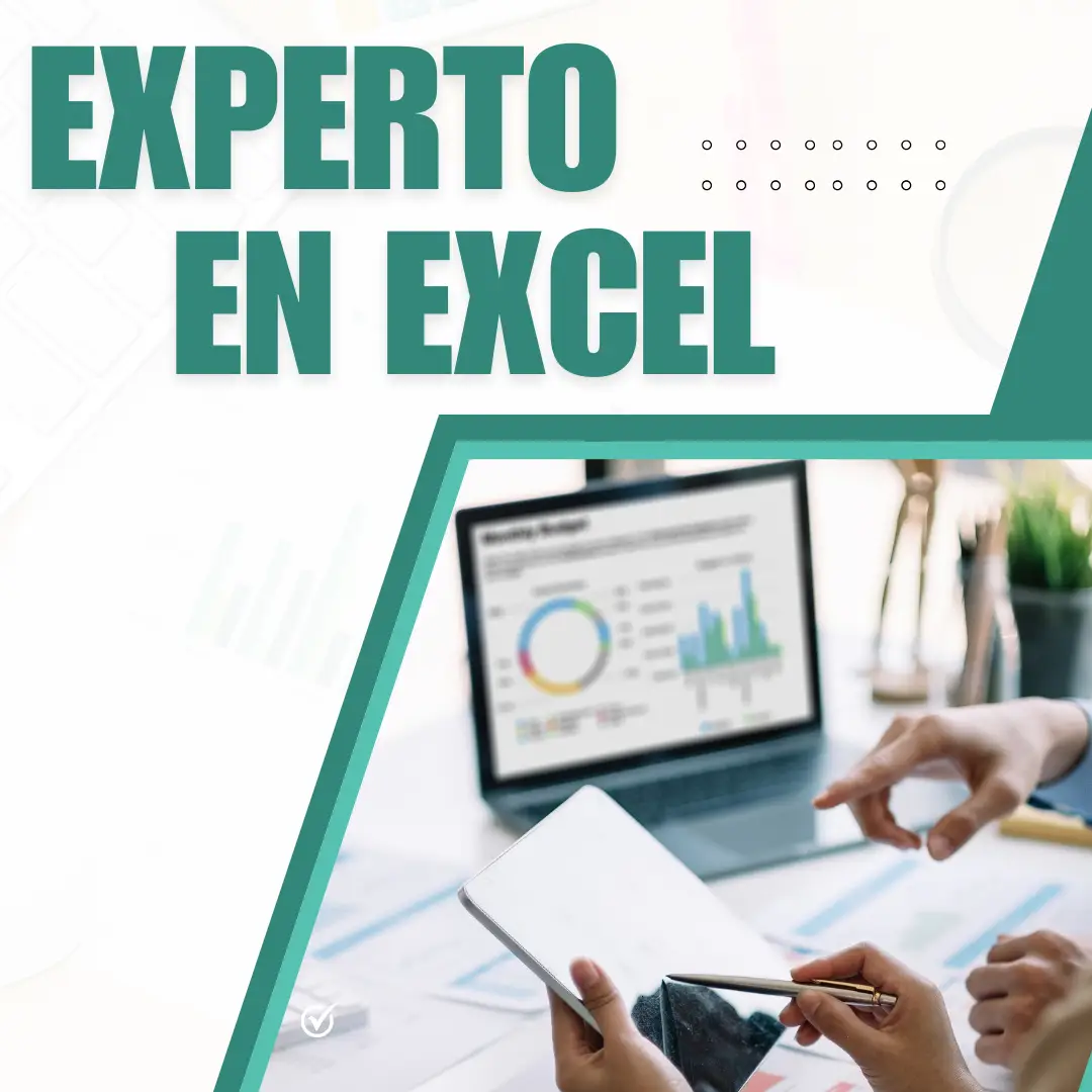 Experto en Excel